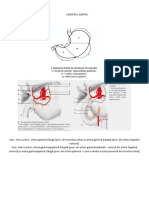 Cancerul Gastric (Vlad - Scurtu)