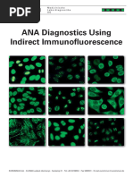 ANA Diagnostico IIFT