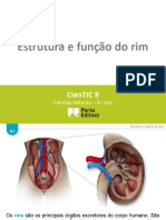 Ctic9 K2 Estrutura e Função Do Rim