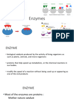 5a My Enzyme