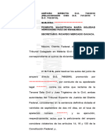 Sentencia Coraza Corporativa y Derecho Extranjero