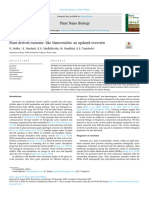 3 Plant Derived Exosome Like Nanovesicles An Updated Overview