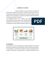 Capitulo V Biomasa y Biogas