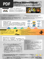 Infografia Ingenieria Industrial.