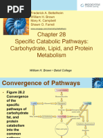 GOB9e - Chapter28 - Metabolism Carbo, Lipids, Proteins