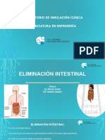 10 Power Eliminacion Intestinal 2023