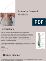 Evaluarea Coloanei Vertebrale