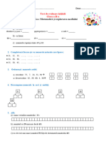 Test de Evaluare Initiala MEM