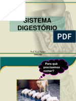 Sistema Digestório: Prof. Rosi Paixão