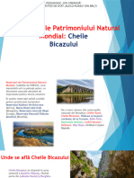 Rezervaţii Ale Patrimoniului Natural Mondial