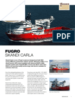 Skandi Carla Flyer