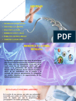 Bioetica y La Vida Humana