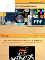 Mutações Cromossômicas PDF