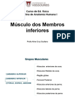 Aula 5 - Músculos Do Membro Inferior