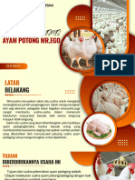 RB Ayam Potong MR - Ego