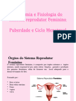 Aula 01 Sist Repro Fem - Puberdade - Ciclo Menstrual