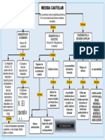 Medida Cautelar Mapa