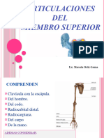 Articulación de MMSS