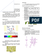 Discovering Photosynthesis