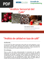 Analisis Sensorial Ana