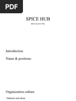 Spice Hub - Values New