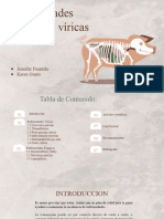 Enfermedades Fungicas y Víricas de Cerdos