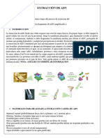 Extracción de Adn Practica