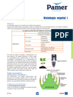 Tema 14 Histología Vegetal