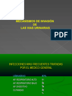 1.1 - Mecanismos de Invasion Vias Urinariaso