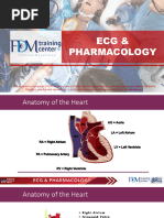 ECG - ACLS 2020 Module