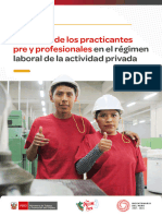 Guia Derechos de Los Practicantes Pre y Profesionales en El Regimen Laboral de La Actividad Privad