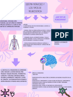 Organizador Gráfico Mapa Conceptual Orgánico Lila