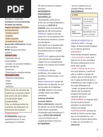 Sistema Nervioso BASICO 2023 Anatomía