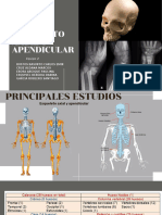 Equipo 2 - Esqueleto Axial y Apendicular