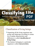 Grade 6-Classifying Life