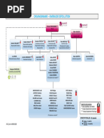 Organigramme Ed Bis