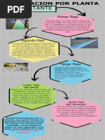 Circulacion Por Planta