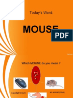 Which Mouse