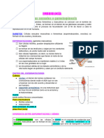 EMBRIOLOGÌA - Documentos de Google