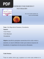 Materia de Apoyo Embrio