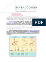 Sistema Endã Crino 3