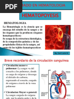 HEMATOPOYESIS Diplomado