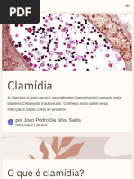 Clamídia - Gamma - PDF - 20231027 - 125435 - 0000