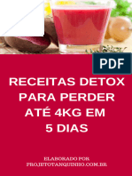 Detox 21 Dias Ebook