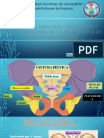 Clase 3. Pélvis Ósea, Miología, Irrigación y Vascularización de La Pelvis, Tipos de Pelvis y Pelvimetría