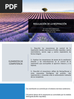 Regulación de La Respiración