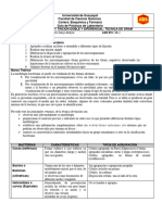 Practica #5 - Microbiología I