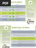 Pet Size o Meter Rabbit