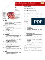 Transes - Heart and Neck Vessels