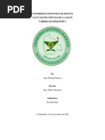 Informe 1 Bromato